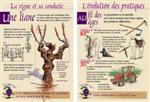 CHAUTAGNE2